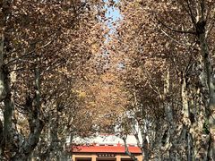 -四川大学(望江校区)