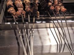 -鼎原力量东北吊炉烧烤(临河街店)