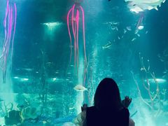 -沈阳海洋探索中心