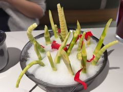 -芸山季·云南野生菌火锅(南翔印象城MEGA店)