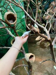 -Zoolung Zoolung动物主题公园(海信广场店)