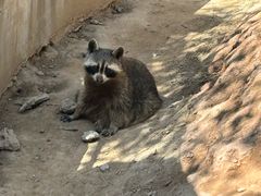 -青藏高原野生动物园