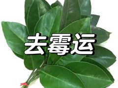 -必胜客(吾悦广场店)