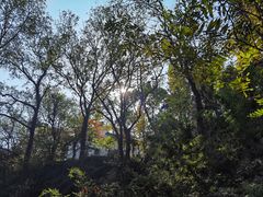 -狼山风景名胜区