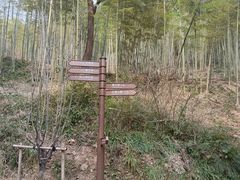 -东明山森林公园