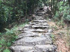 -梧桐山风景名胜区