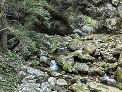 -牛背梁国家森林公园