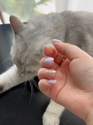 -Fanni美甲美睫皮肤管理