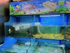 -陈小厨海鲜大咖·15年平潭味(龙王头店)