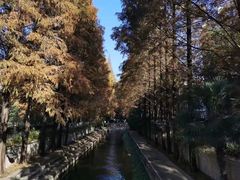 -南京航空航天大学(明故宫校区)
