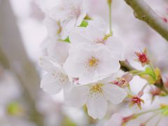 -桂溪生态公园