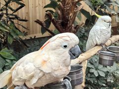 -南宫五洲植物乐园