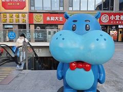 -盒马鲜生(双清路店)