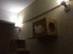 -猫友咖啡店(玉林西路店)