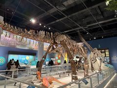-国家自然博物馆