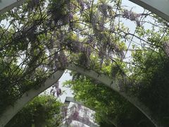 -天津东丽湖风景区