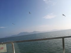 -长岛万鸟岛