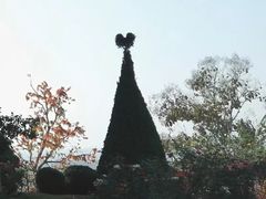 -黄色小屋