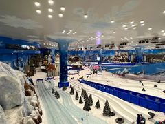 -长沙湘江冰雪世界