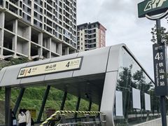 -铁山坪森林公园