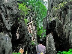 -玉石林风景区