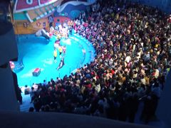 -烟台海昌鲸鲨海洋公园