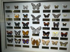 -上海昆虫博物馆