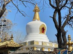 -护国法轮寺