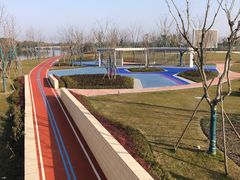 -绍兴镜湖国家城市湿地公园