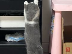 -中农国际动物医院24小时·猫科·骨科·急重症中心
