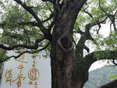 -上坦村