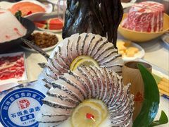 石斑鱼-德天肥牛海鲜火锅(龙吟坊店)
