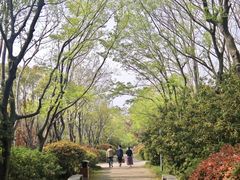 -长广溪湿地公园