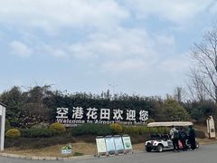 -空港花田景区