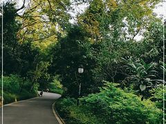 -三门江国家森林公园