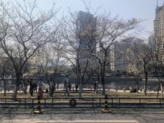 -西北湖绿化广场
