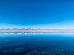 -德禄酸奶(莫家街店)