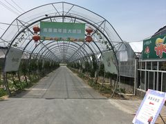 -米果果小镇