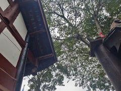 -黄龙溪古镇