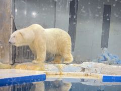 -大连圣亚海洋世界