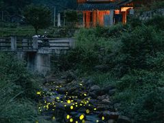 -梧桐山风景名胜区