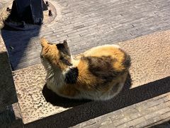 -暮晚尘香汉服旗袍