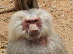 -杭州野生动物世界