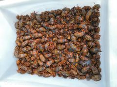 -向民炒鸡老店(火车站店)