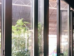 -京北渔家傲