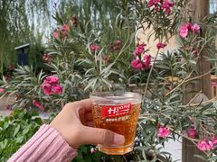 -沙洲胡杨焖饼