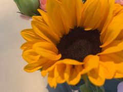 -芙蓉堂(武汉天地店)