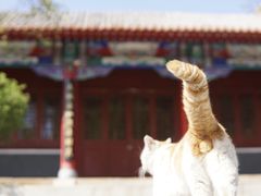 -碑林公园