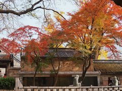 -青岛崂山太清宫