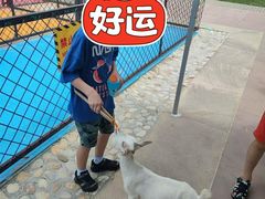 -太阳岛度假酒店